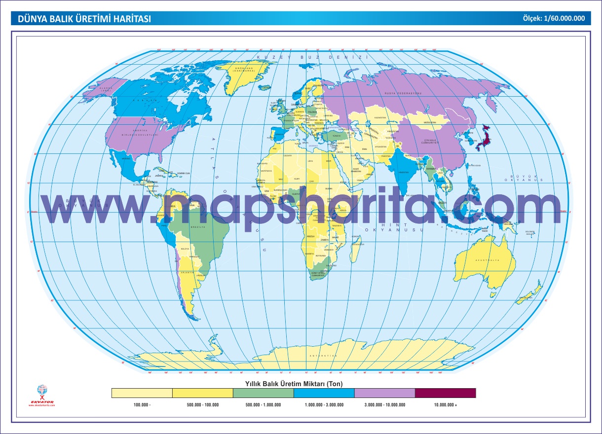 DÜNYA BALIK HARİTASI 