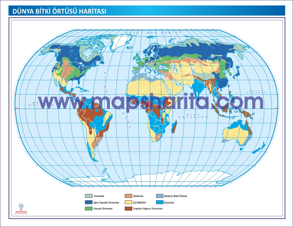 Dunya Bitki Ortusu Haritasi Dunya Atlasi