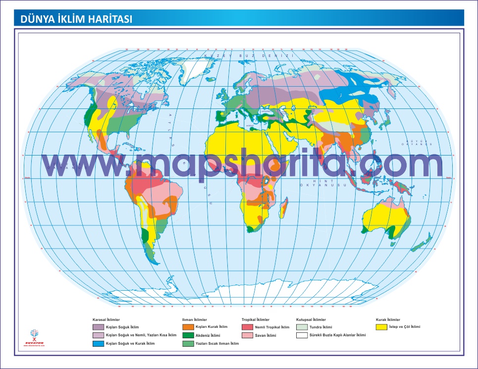 DÜNYA İKLİM HARİTASI 