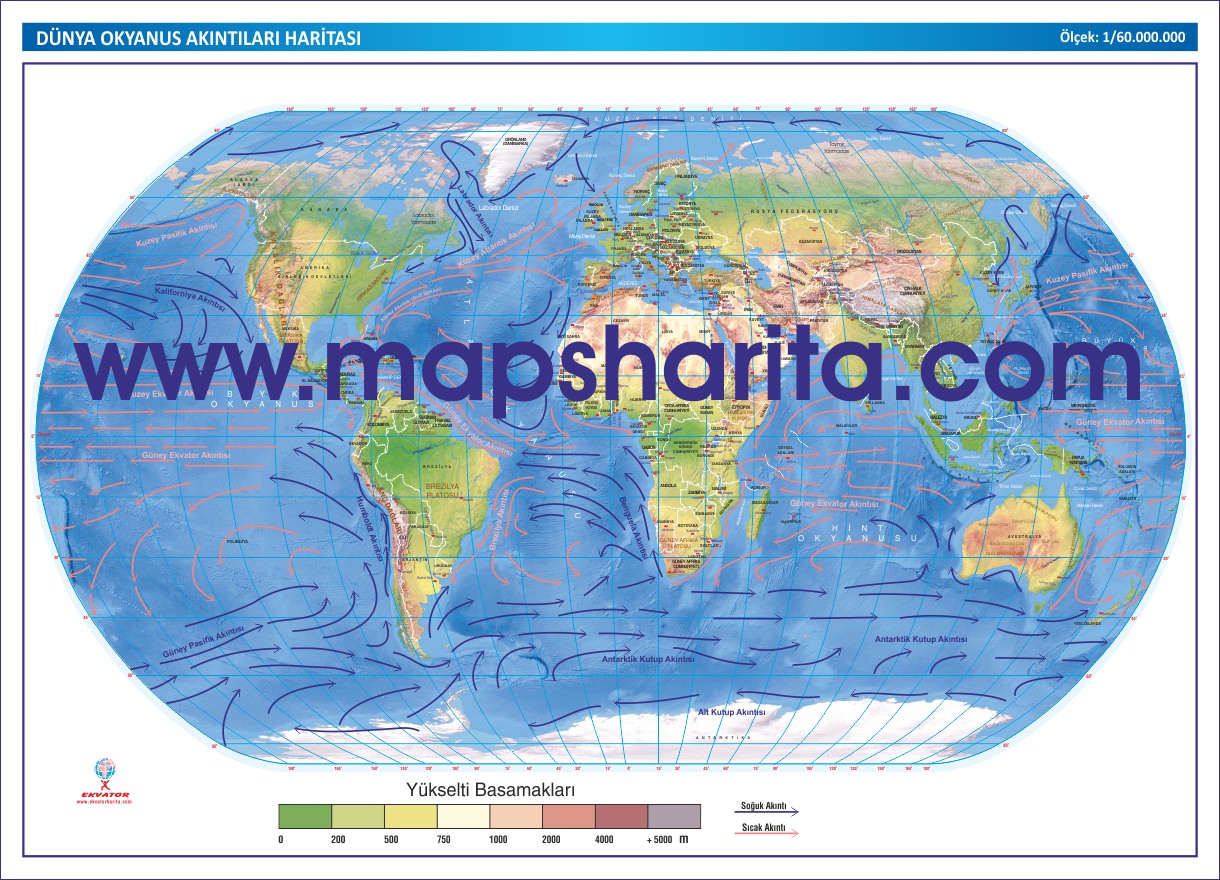DÜNYA OKYANUS AKINTILARI HARİTASI