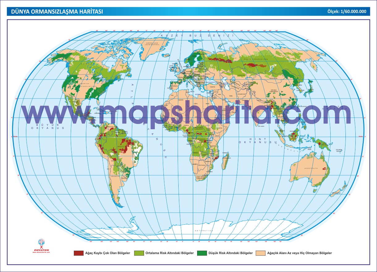 DÜNYA ORMANSIZLAŞMA HARİTASI 