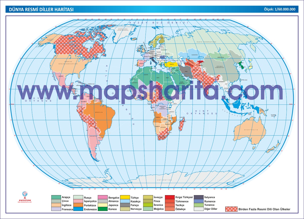 DÜNYA RESMİ DİLLER HARİTASI 