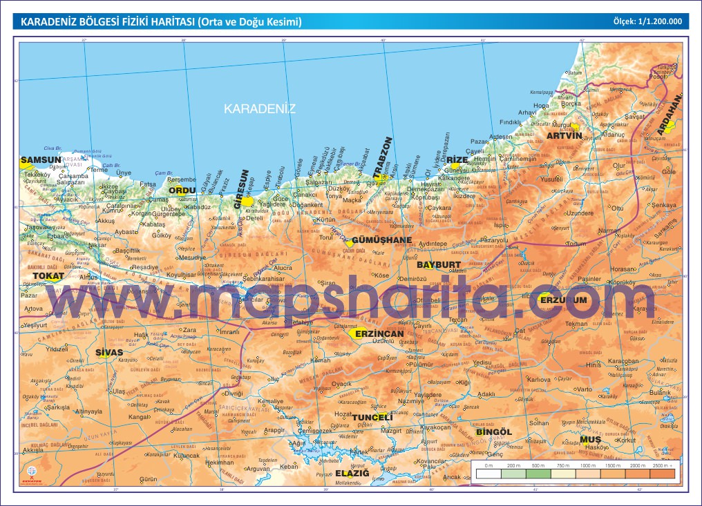 KARADENİZ BÖLGESİ DOĞU KESİMİ HARİTASI