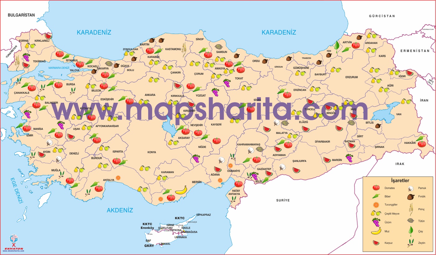 MARMARA BÖLGESİ MEYVE HARİTASI