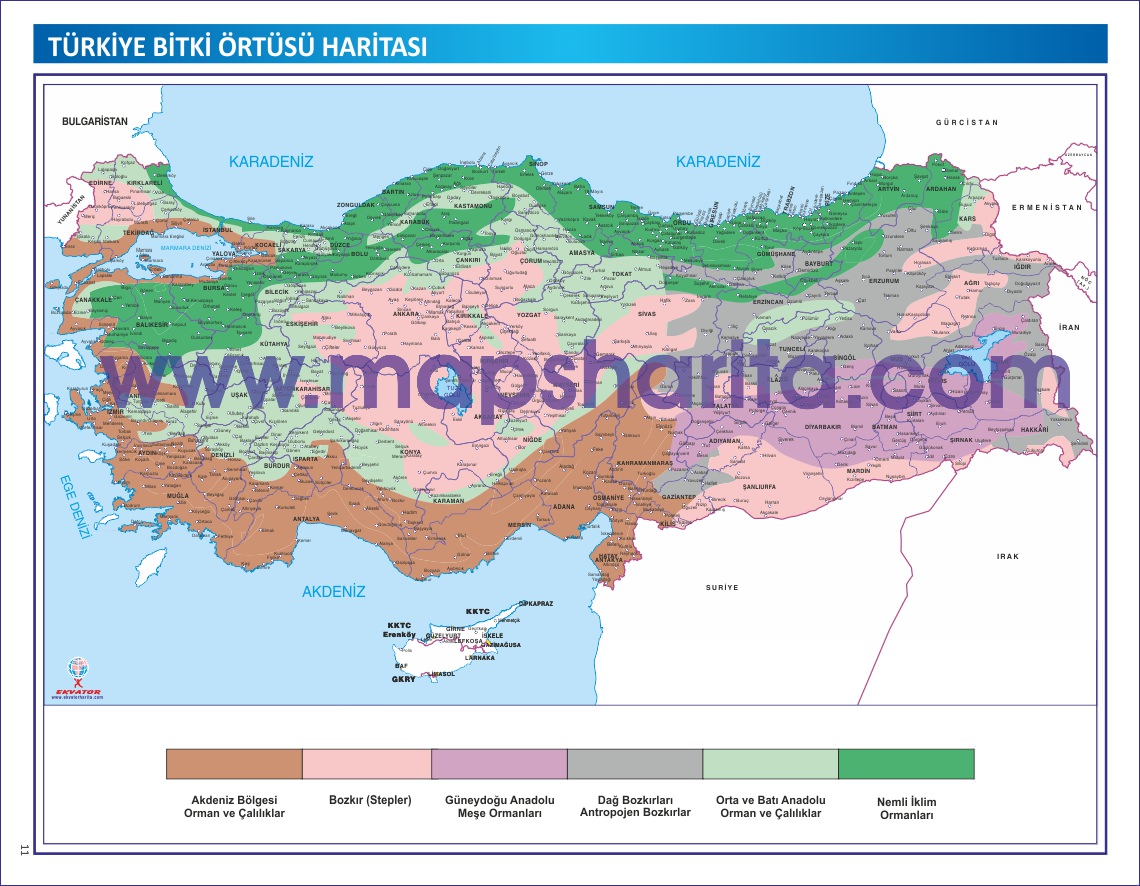 TÜRKİYE BİTKİ ÖRTÜSÜ HARİTASI