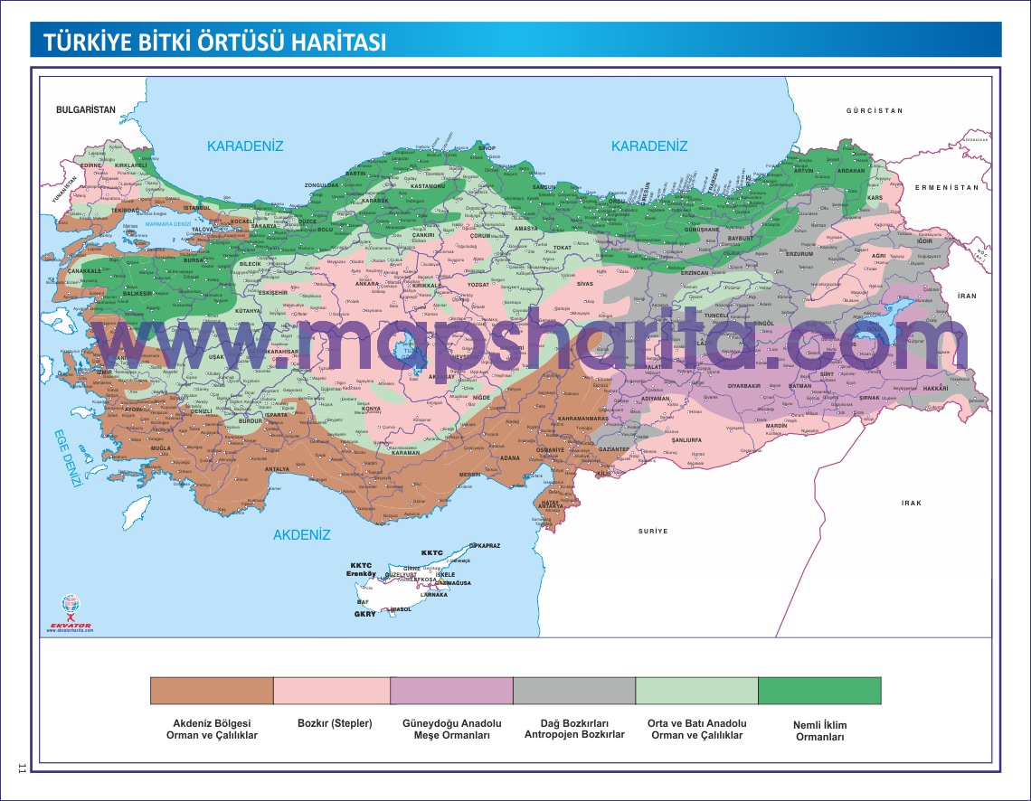 TÜRKİYE BİTKİ ÖRTÜSÜ HARİTASI TÜRKİYE BİTKİ ÖRTÜSÜ HARİTASI